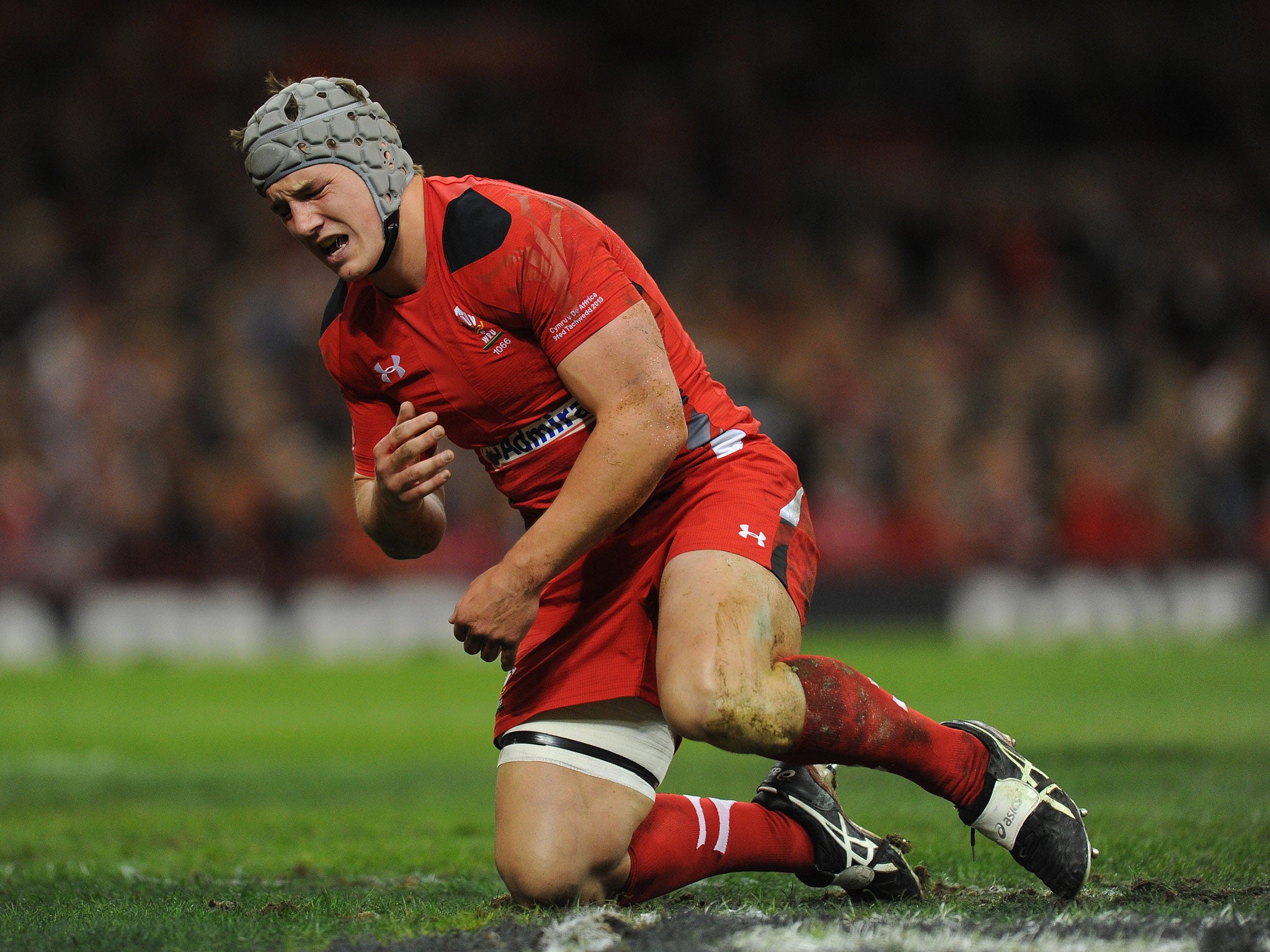 Jonathan Davies pictured against South Africa