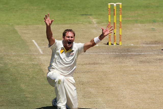 Ryan Harris pictured during the third Test between Australia and South Africa