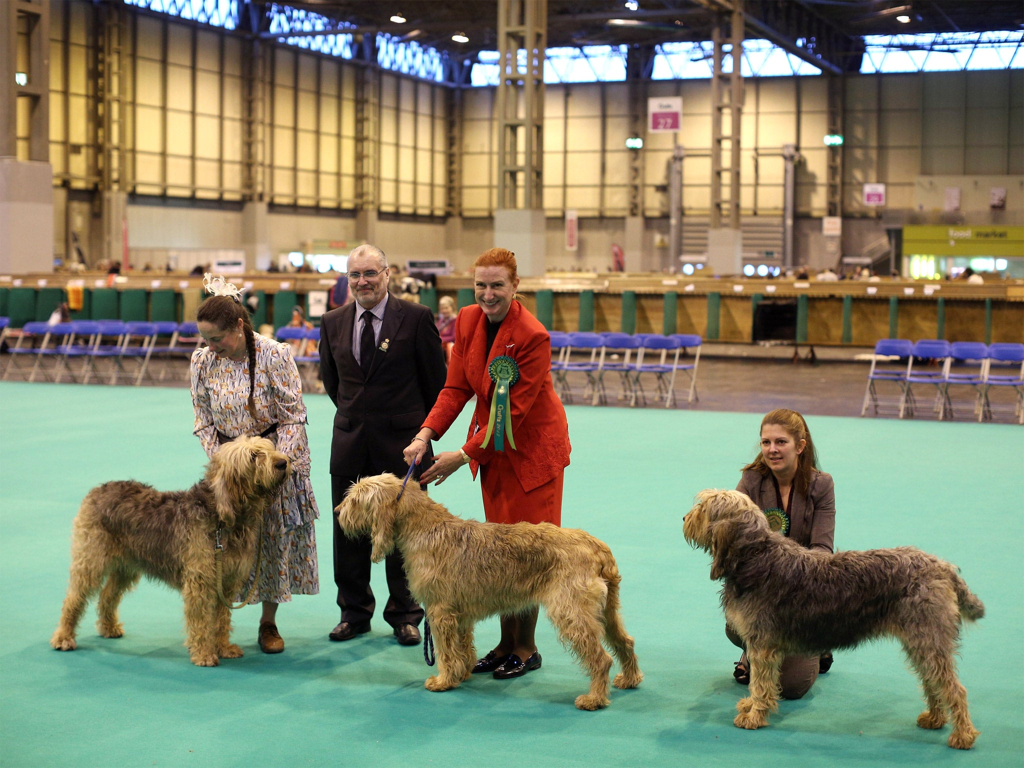 The National Exhibition Centre is the home of Crufts