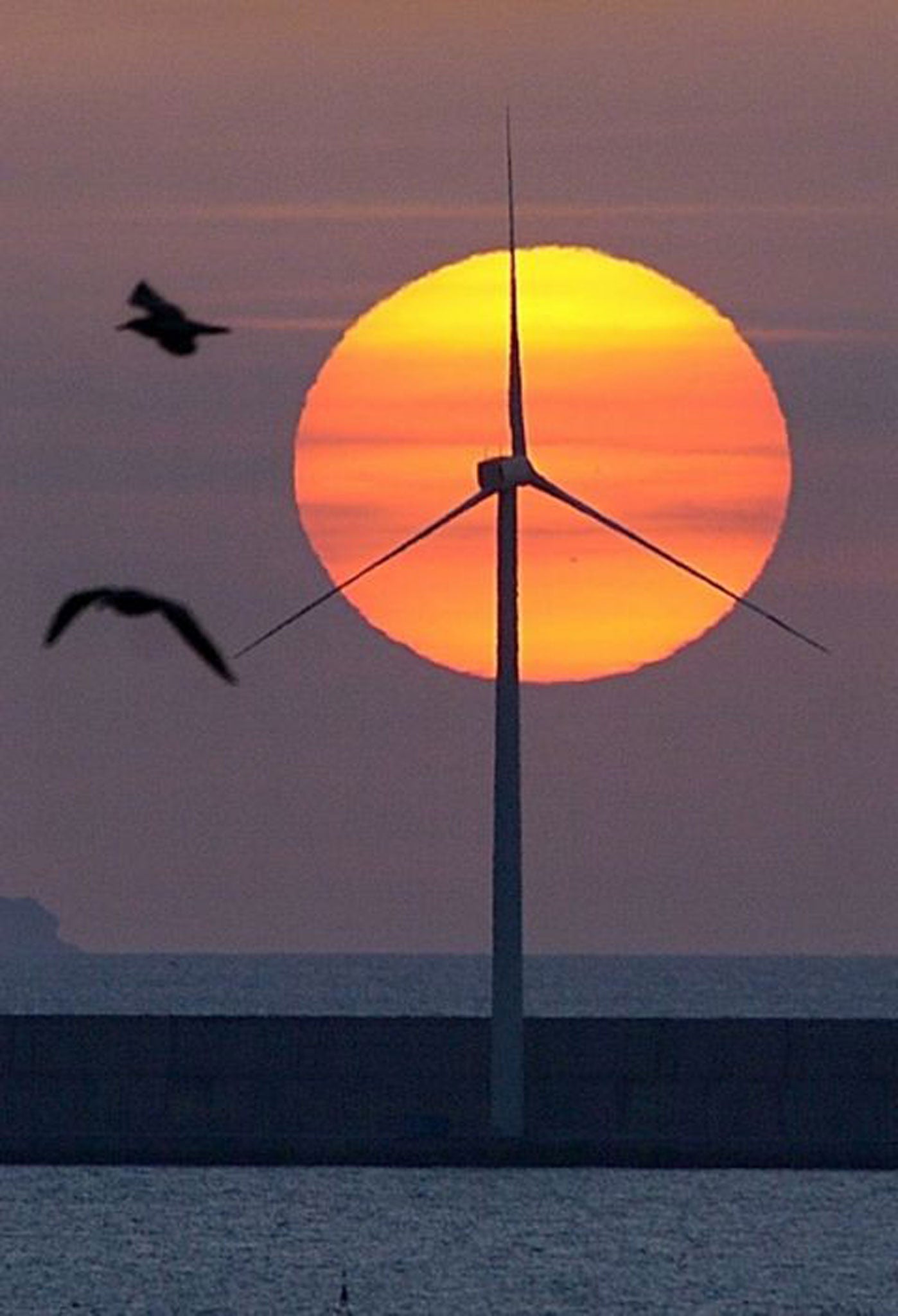 MPs say an incoherent stance on green energy has left investors over-exposed to fossil-fuel firms
