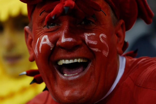A Wales fan shows his colours before the big showdown