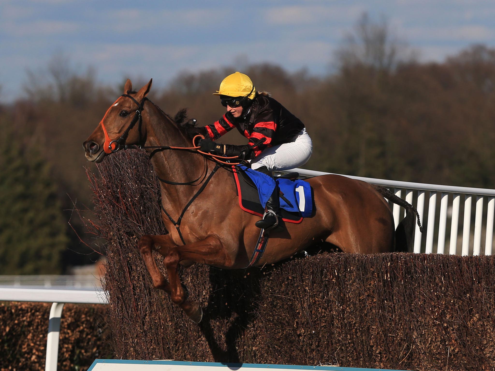 Bradley, ridden by Sally Randall, clears the final fence to win The Grand Military Gold Cup at Sandown yesterday