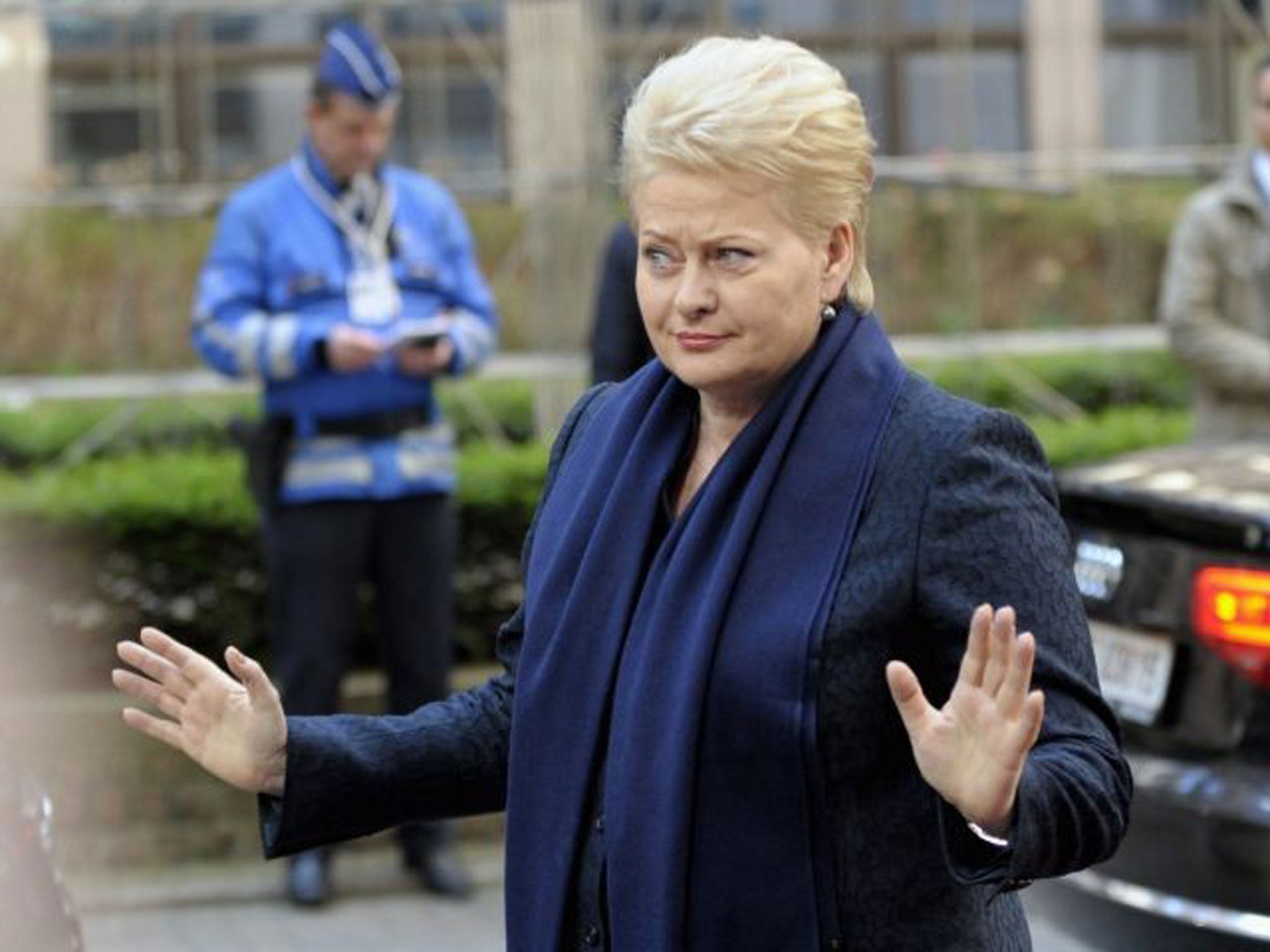 Warning: President Grybauskaite at an emergency summit on Ukraine last week