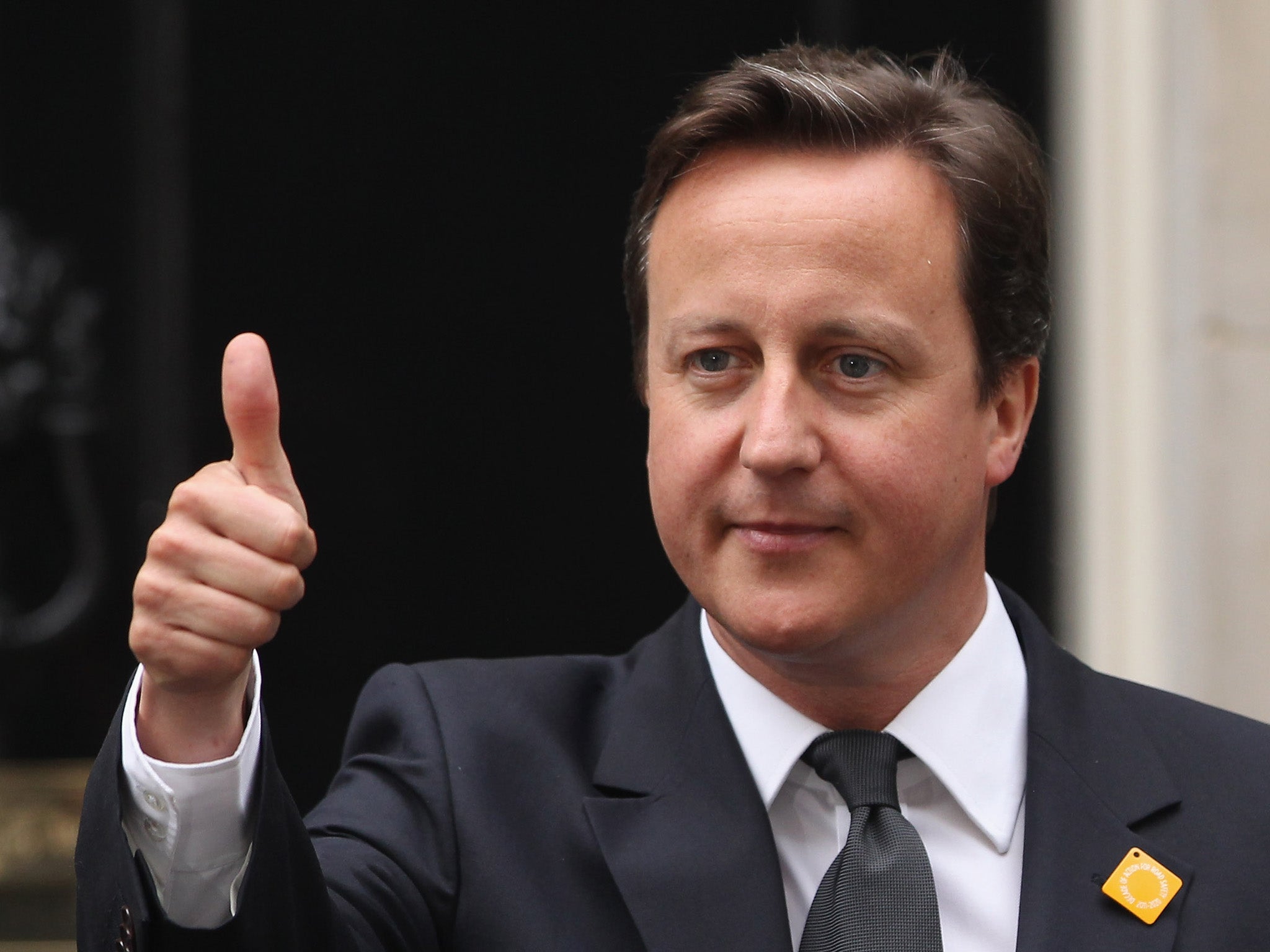 Thumbs up: David Cameron's team have paid for Facebook adverts in order to get the PM more 'likes' on the social network