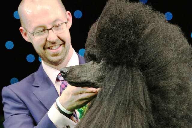 Jason Lynn with Ricky the Standard Poodle, as they celebrate winning the Best in Show category of Crufts during the final day at Crufts Dog Show on 9 March 2014 in Birmingham, England