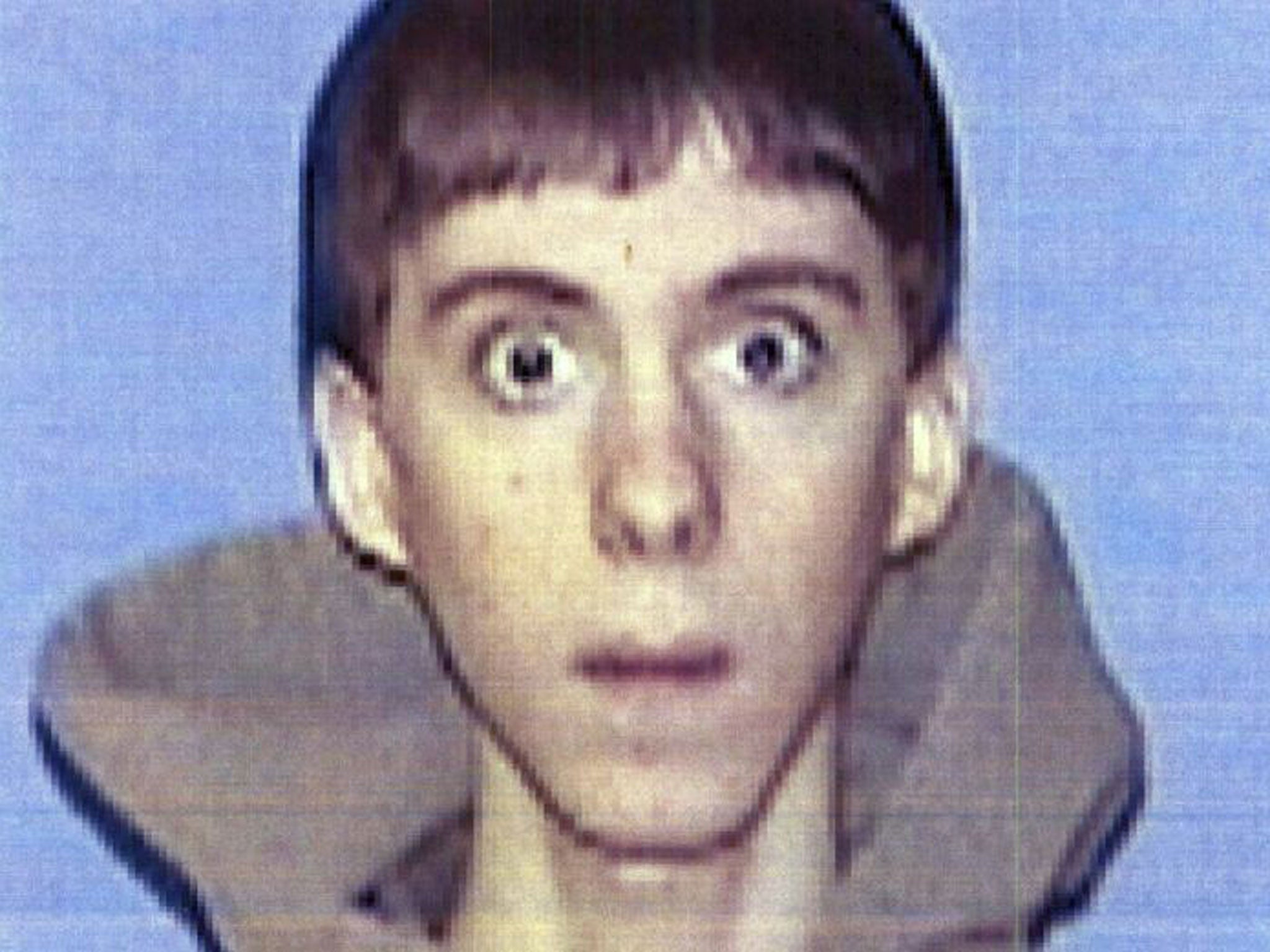 Adam Lanza had developed an interest in mass murders before carrying out the killings