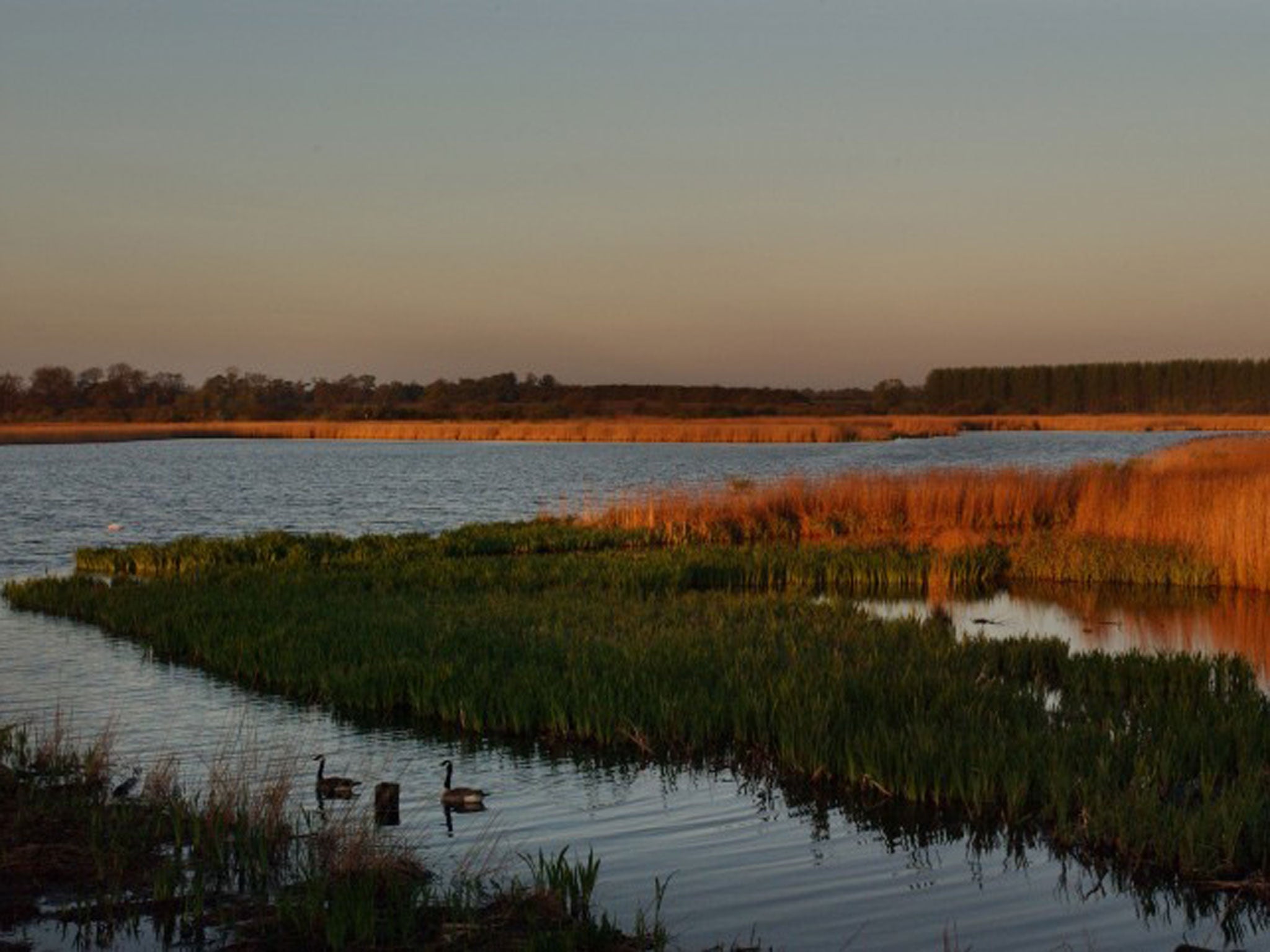 Ripple effect: Minsmere nature reserve