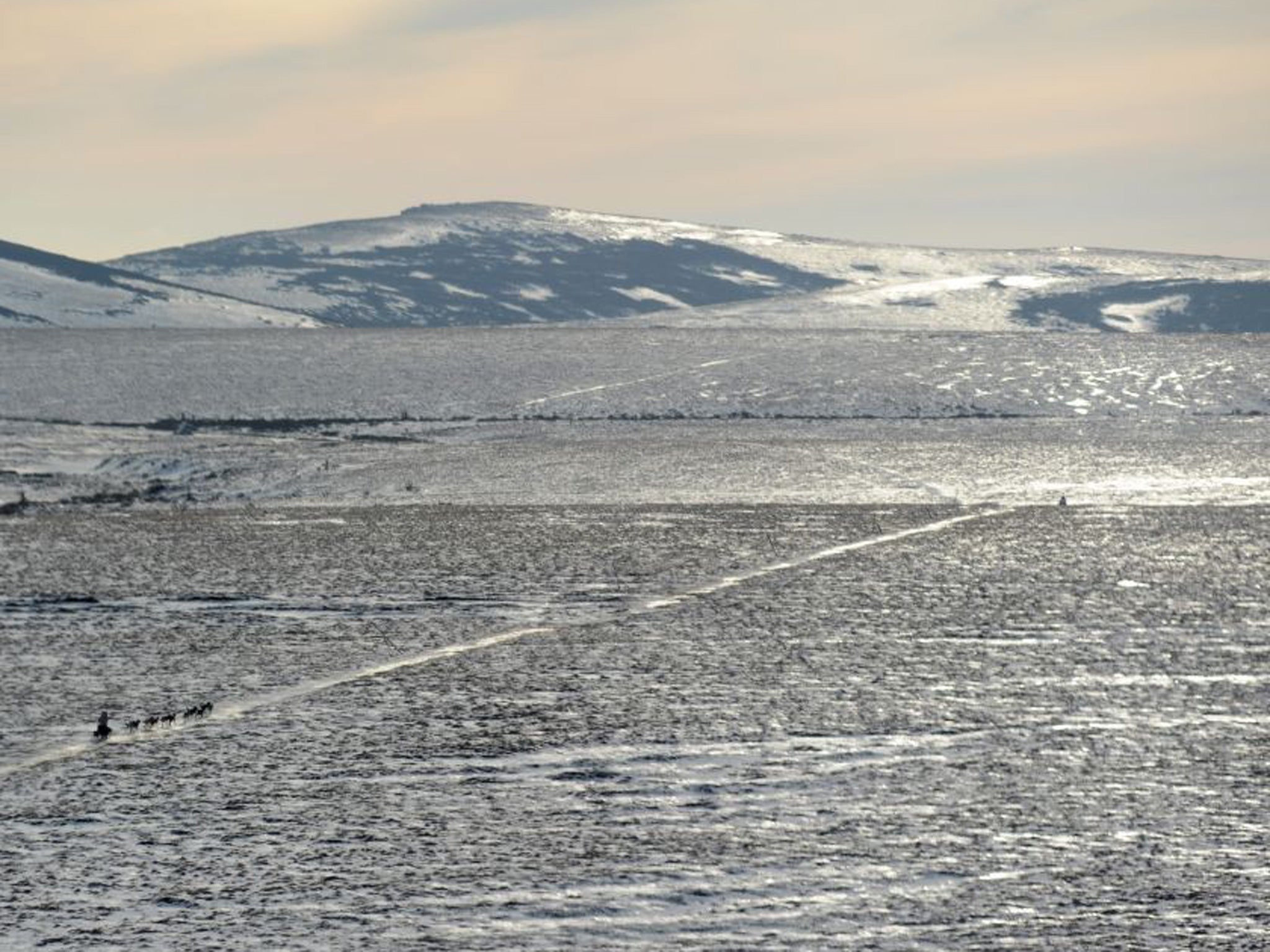 Jeff King mushes between the checkpoints of White Mountain and Safety, the last checkpoint before the finish line in Nome.