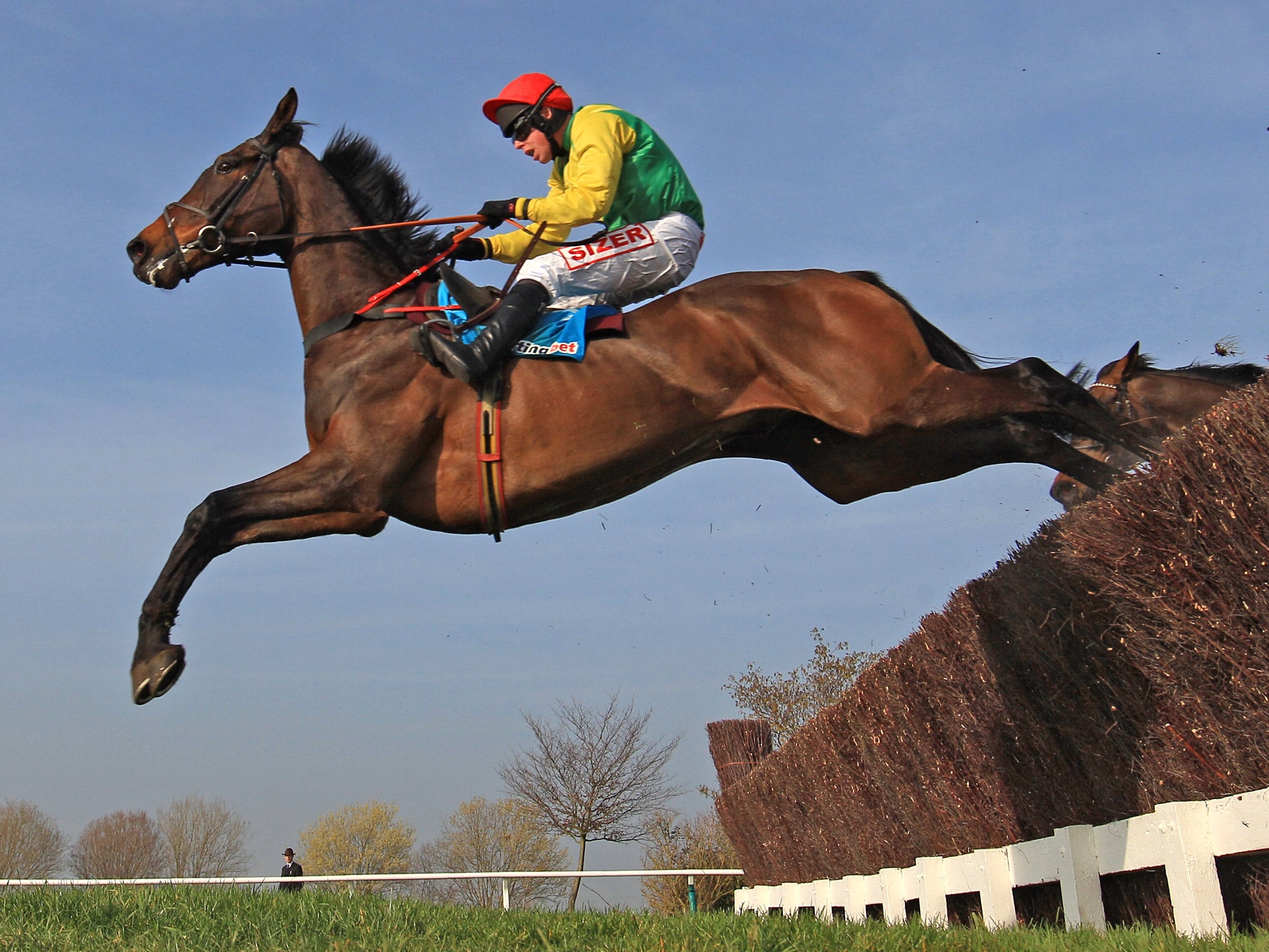 Sizing Europe jumps a fence in 2012