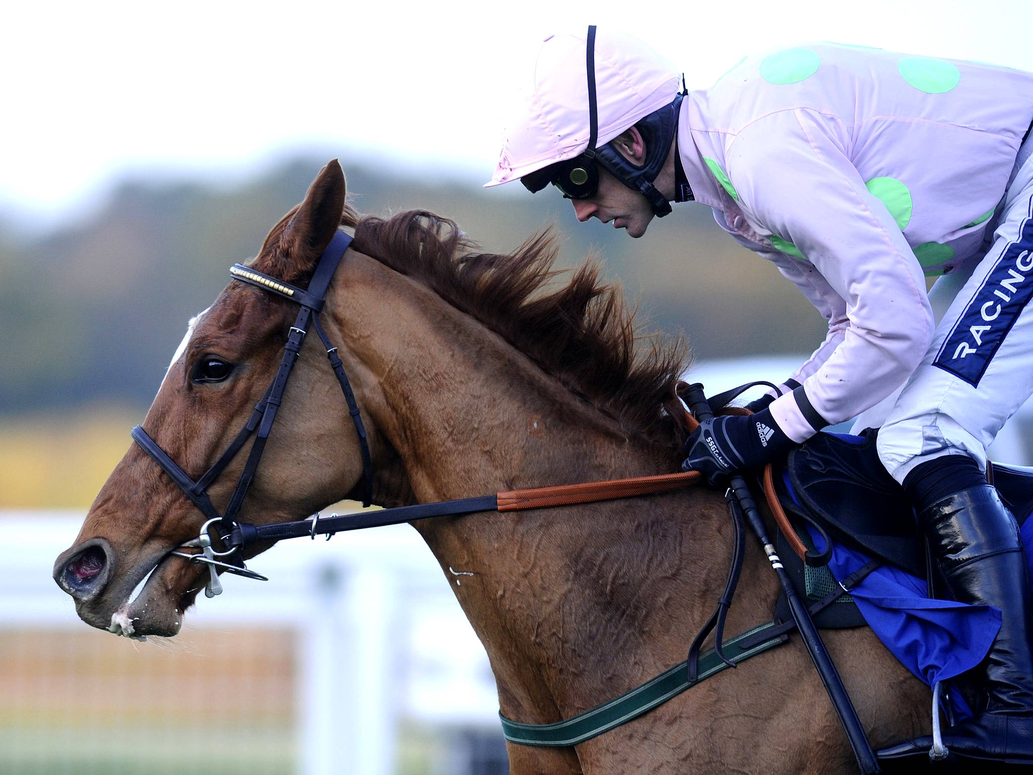 Ruby Walsh on Annie Power at Ascot last year