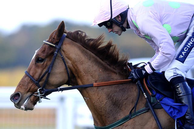 Ruby Walsh on Annie Power at Ascot last year