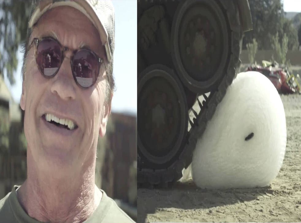 Arnie takes bubble wrap popping to the next level