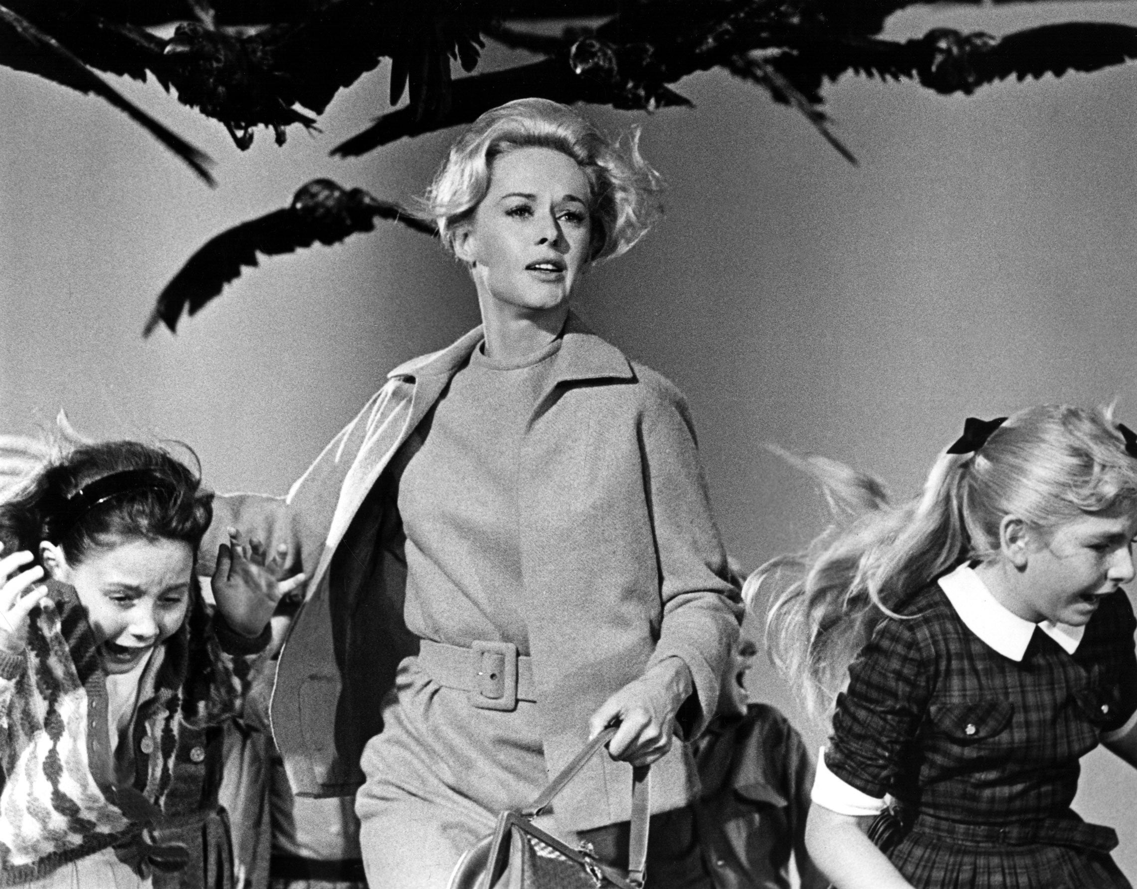 Naomi Watts is rumoured to be taking Tippi Hedren's role in The Birds