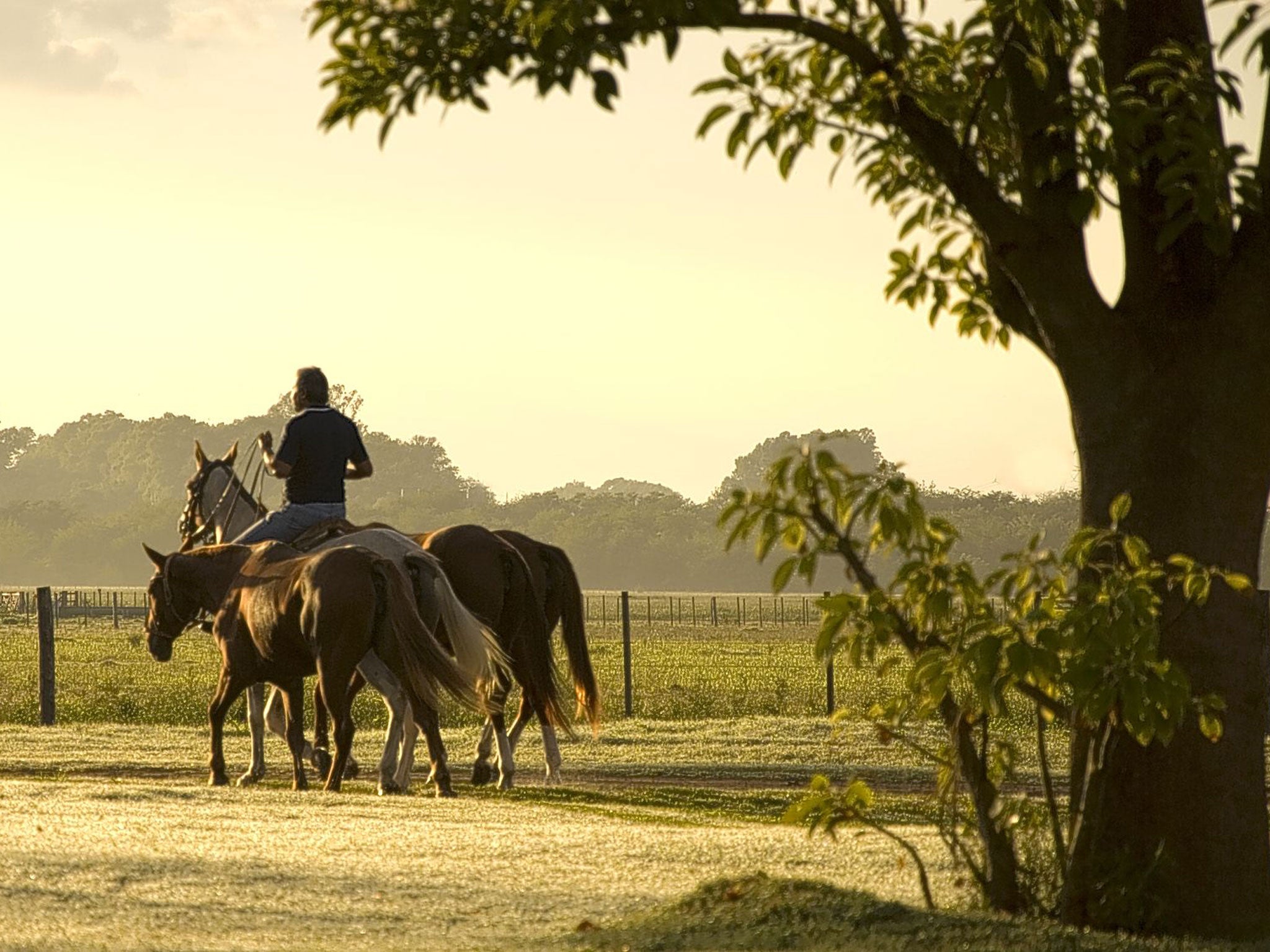 A place in the country: riding out from La Bamba de Areco
