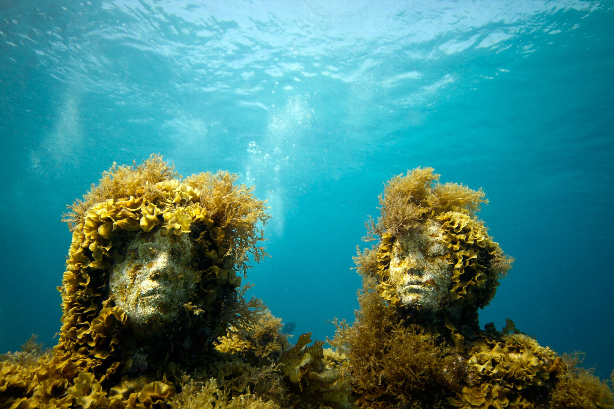 The Manchones reef lies about five miles north-east of the popular Mexican resort Cancun. And about 500m from the main reef lies another – this one artificial