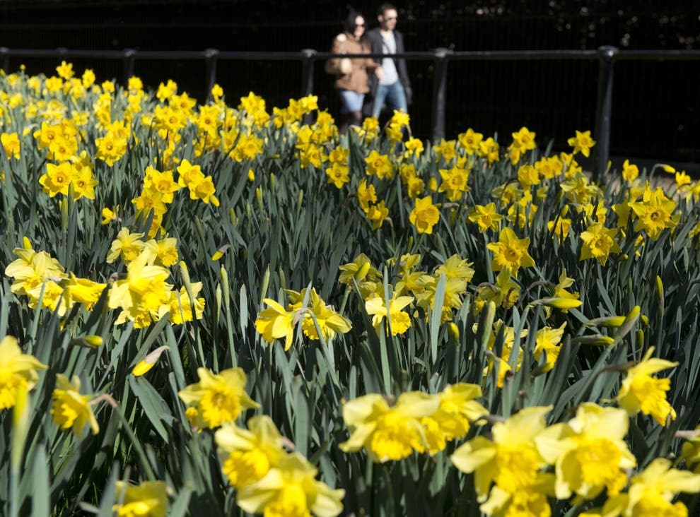 Spring Equinox When does spring start? The Independent The Independent