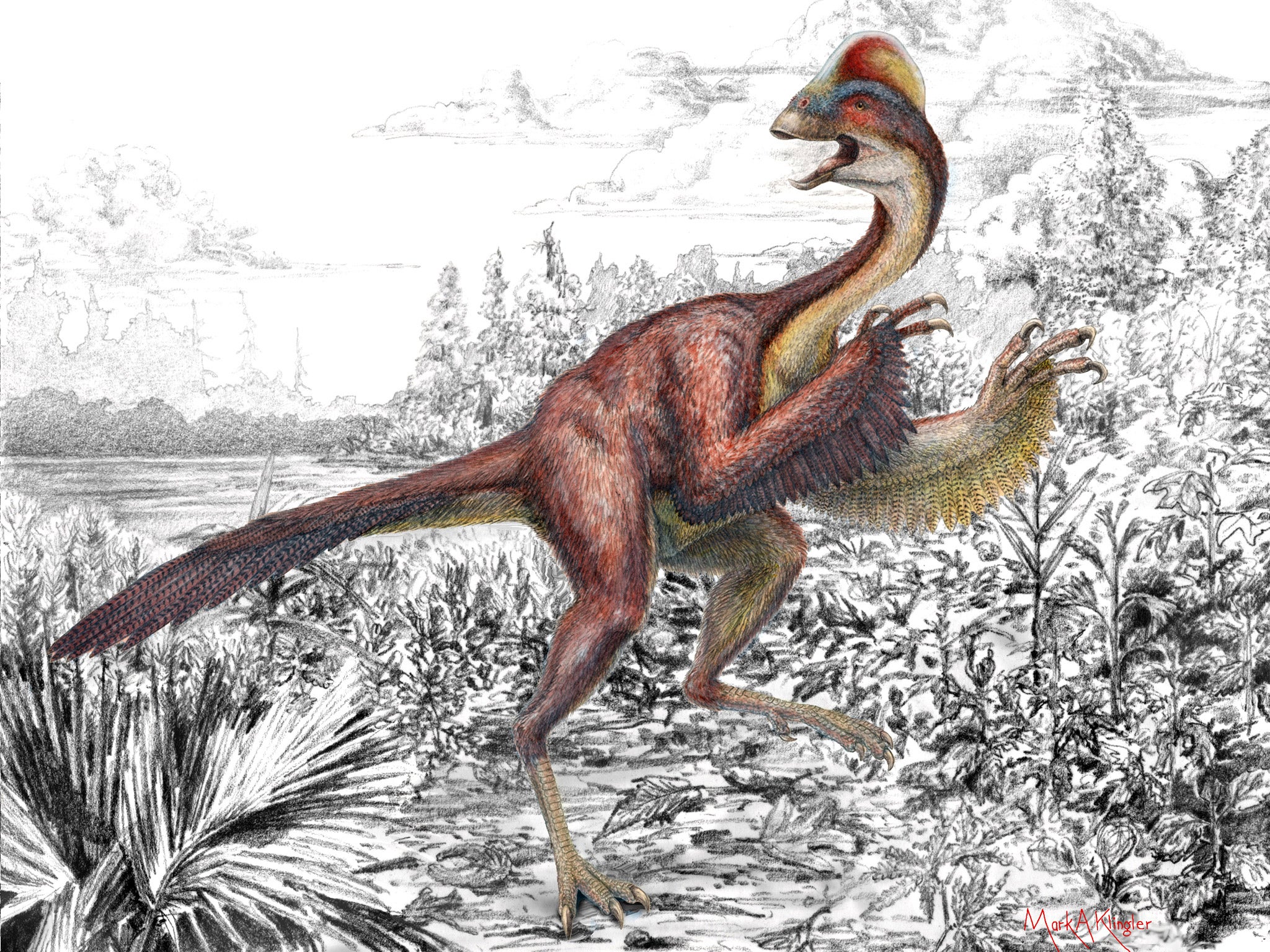 The bird-like ‘Anzu wyliei’ is the largest of the oviraptorosaur group of dinosaurs to be found in North America