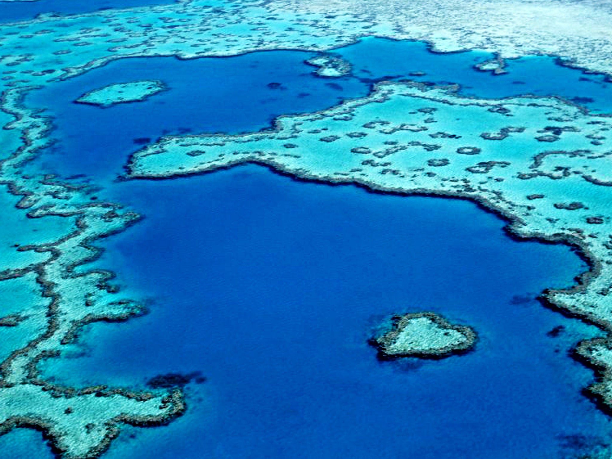 Dive in: the Great Barrier Reef, off the Queensland coast