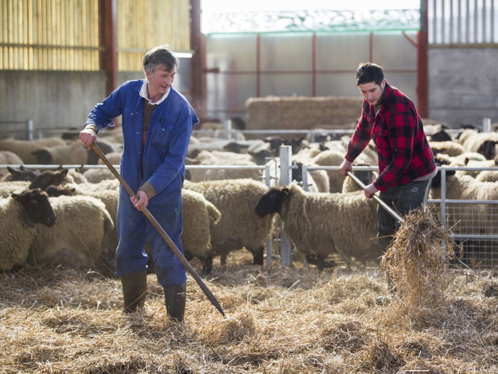 Father and son farmers David and Will Rogers on their farm at Presteigne in Radnorshire