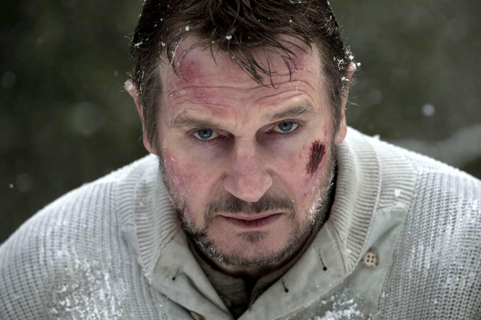 Liam Neeson stars in The Grey