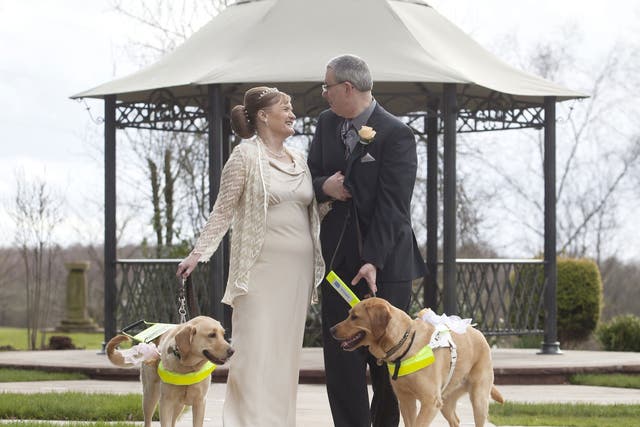 Guide dog owners Claire Johnson, 50 and Mark Gaffey, 51, got married in Baralston, Stoke-on-Trent, after their dogs fell in love at training two years ago