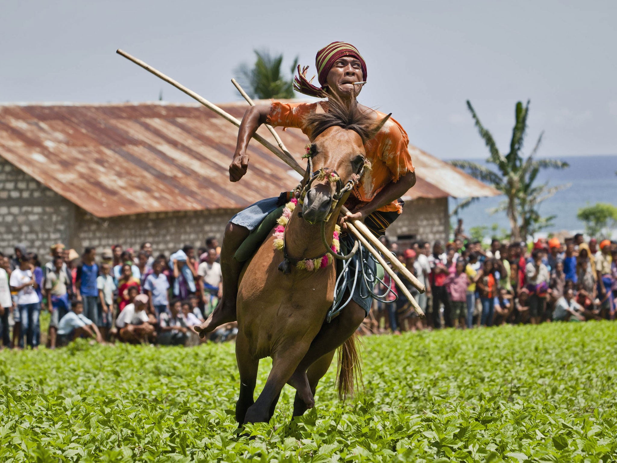 A Pasola rider reacts after throwing his spear during the Pasola war festival at Ratenggaro village in Sumba Island