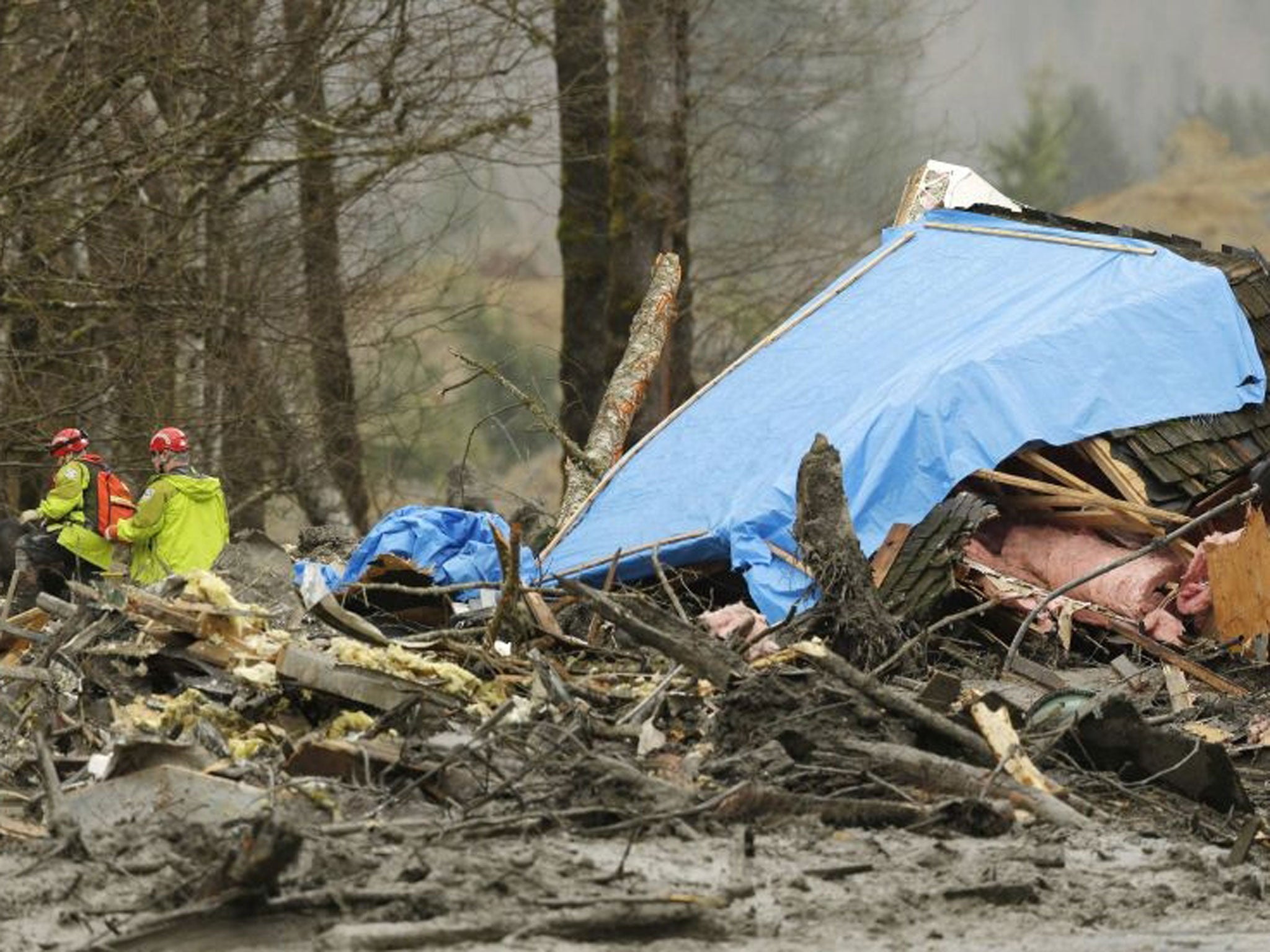 Workers look for victims in the mudslide near Oso, Washington on 25 March.