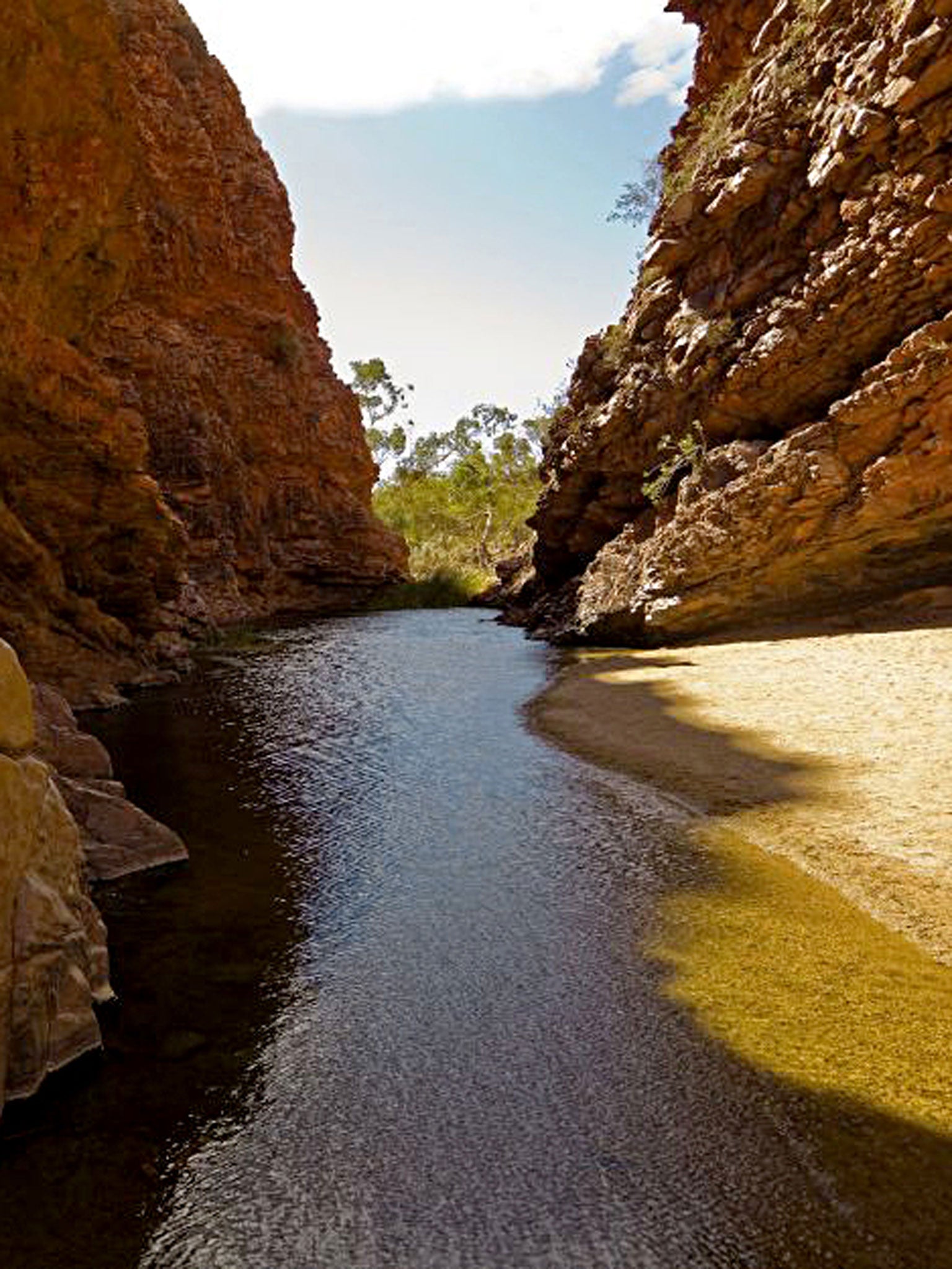 Alice's wonderland: the Red Centre's desert landscape