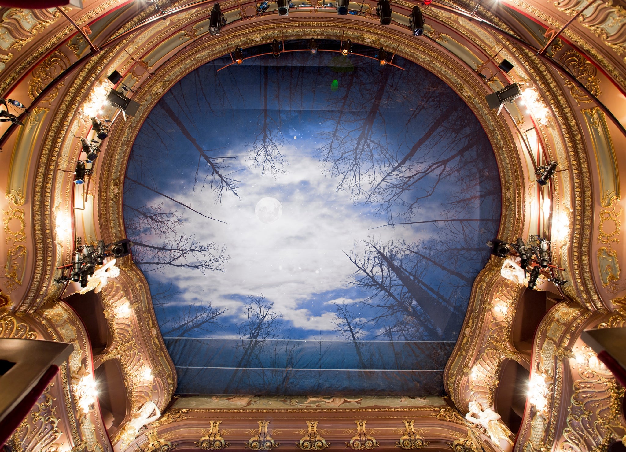 The new ceiling at the Apollo Theatre for the production of Let The Right One In
