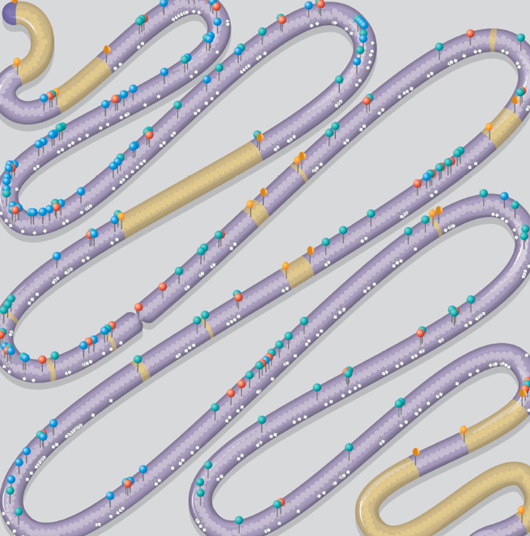 Snake like. Synthetic yeast 2.0. Дизигнер.