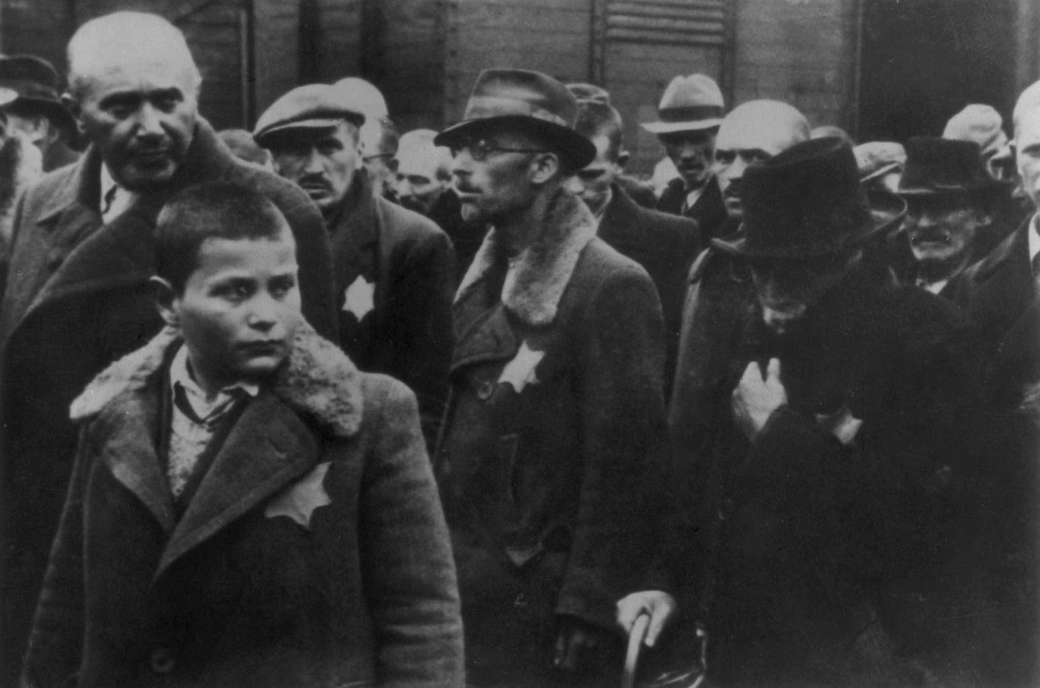 Generic suffering, and personal trauma: Jewish deportees entering Auschwitz in 1944