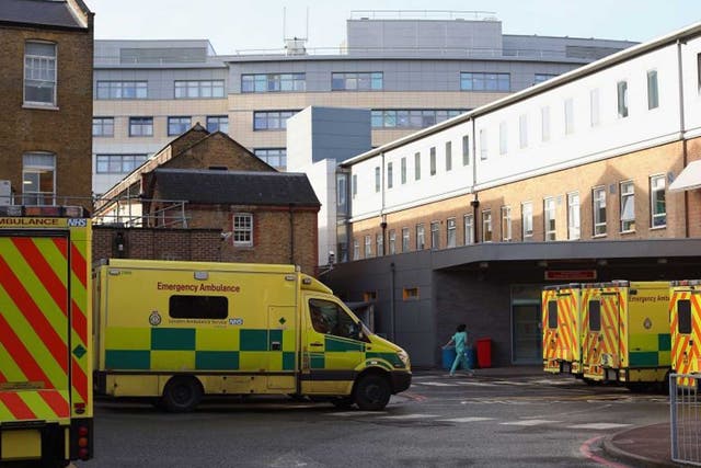 <p>The A&E department at University Hospital Lewisham</p>