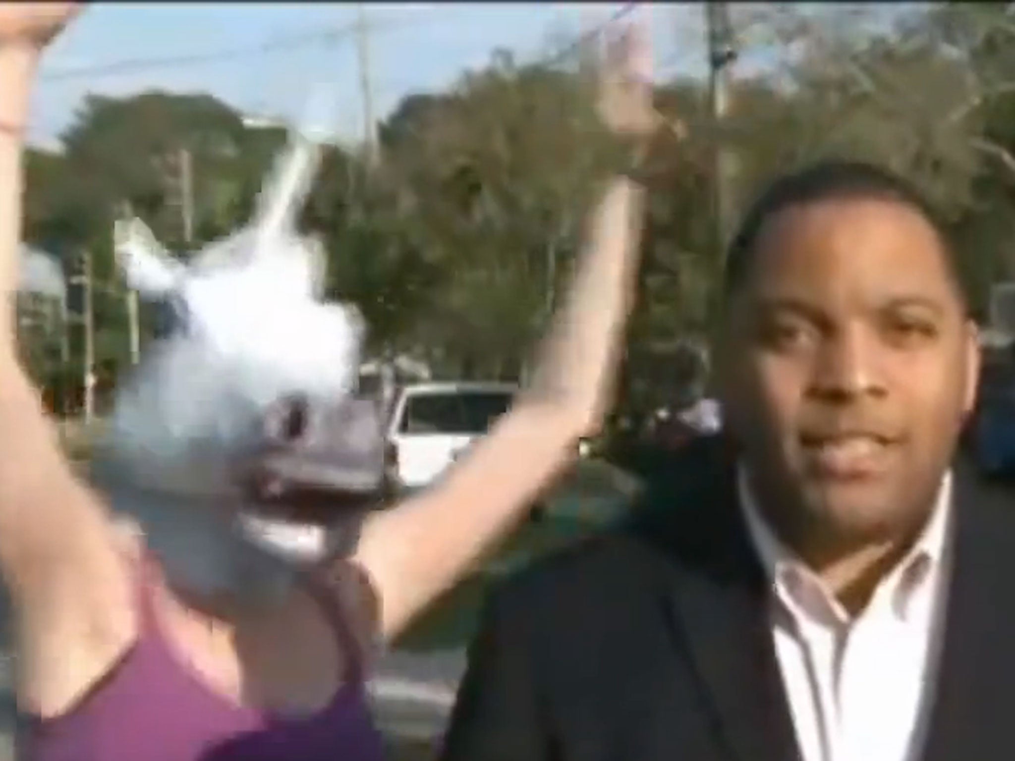 A still from a newscast where a unicorn interrupted a news reader