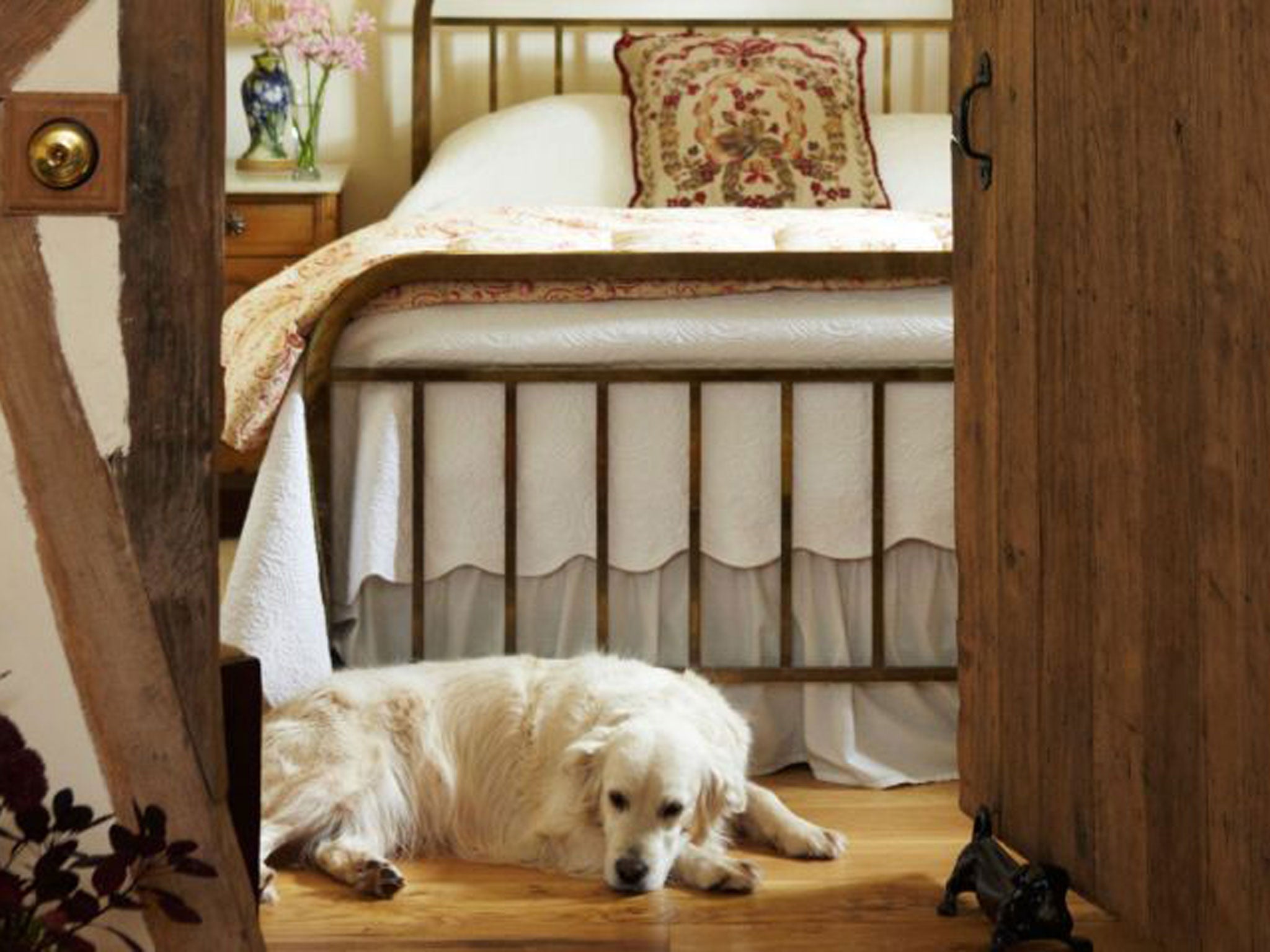 Breaks With Pets: Where B&B Stands For Basket And Breakfast | The ...