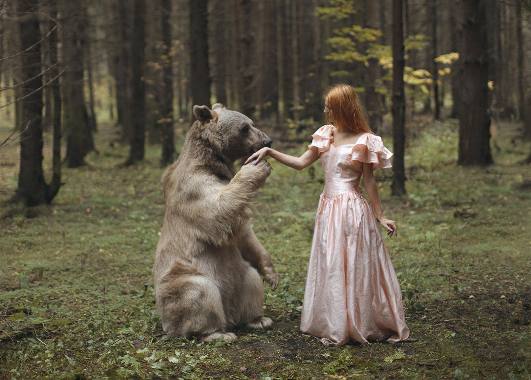 Russian photographer Katerina Plotnikova captured the scenes with the help of two professional animal trainers