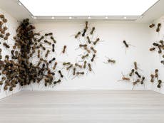Read more

Huge ants are the stars of the show at the Saatchi Gallery