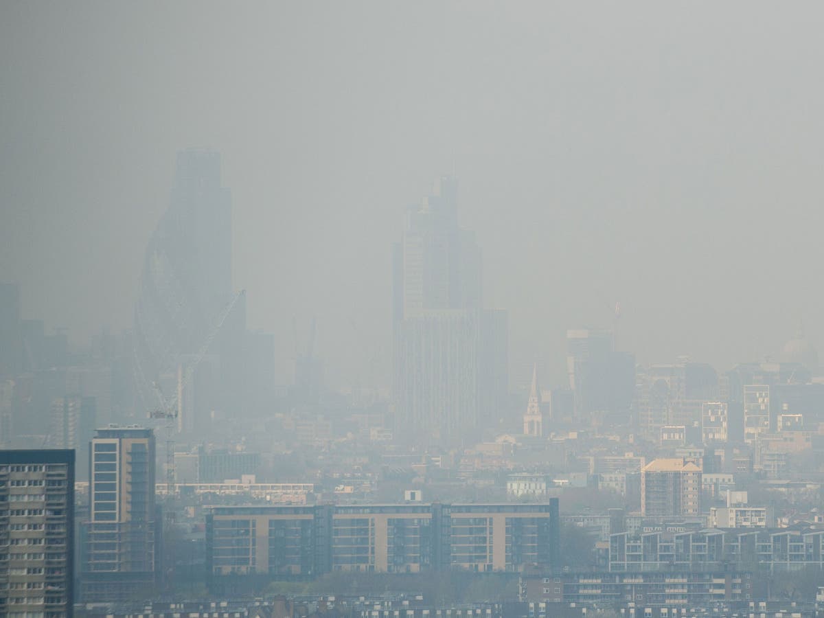 Smog, fog and Saharan dust: Air pollution levels set to fall | The ...