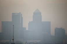 Government loses landmark air pollution case