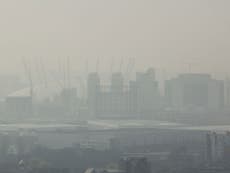 Air pollution linked to one in 12 deaths in London