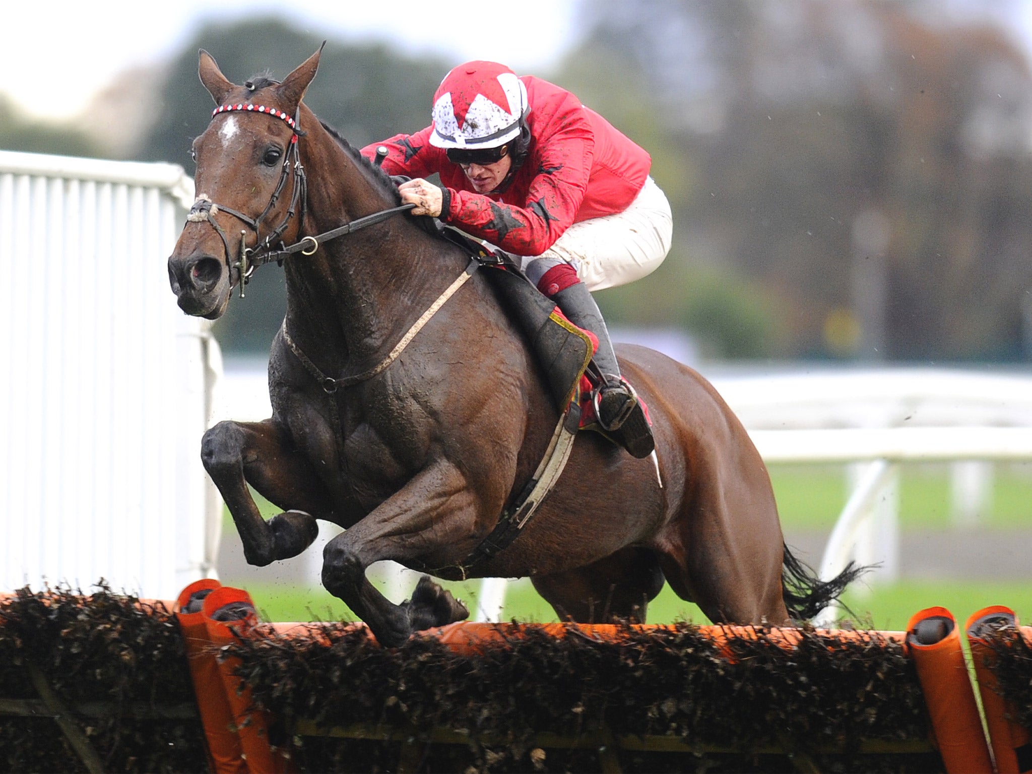 The New One seeks his first Grade One win outside novice company at Aintree