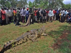 One tonne crocodile caught in Uganda
