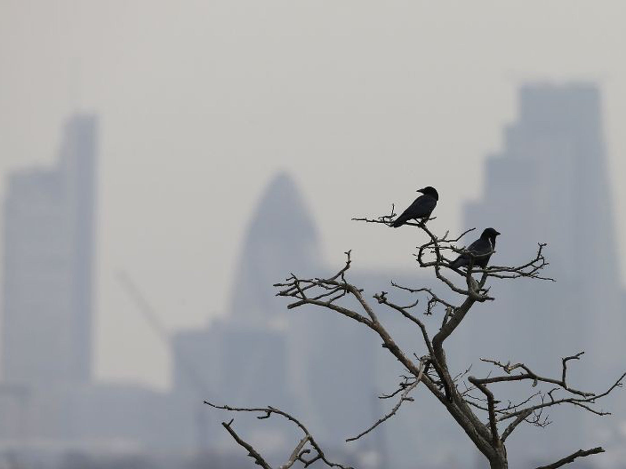 Smog surrounds the City of London