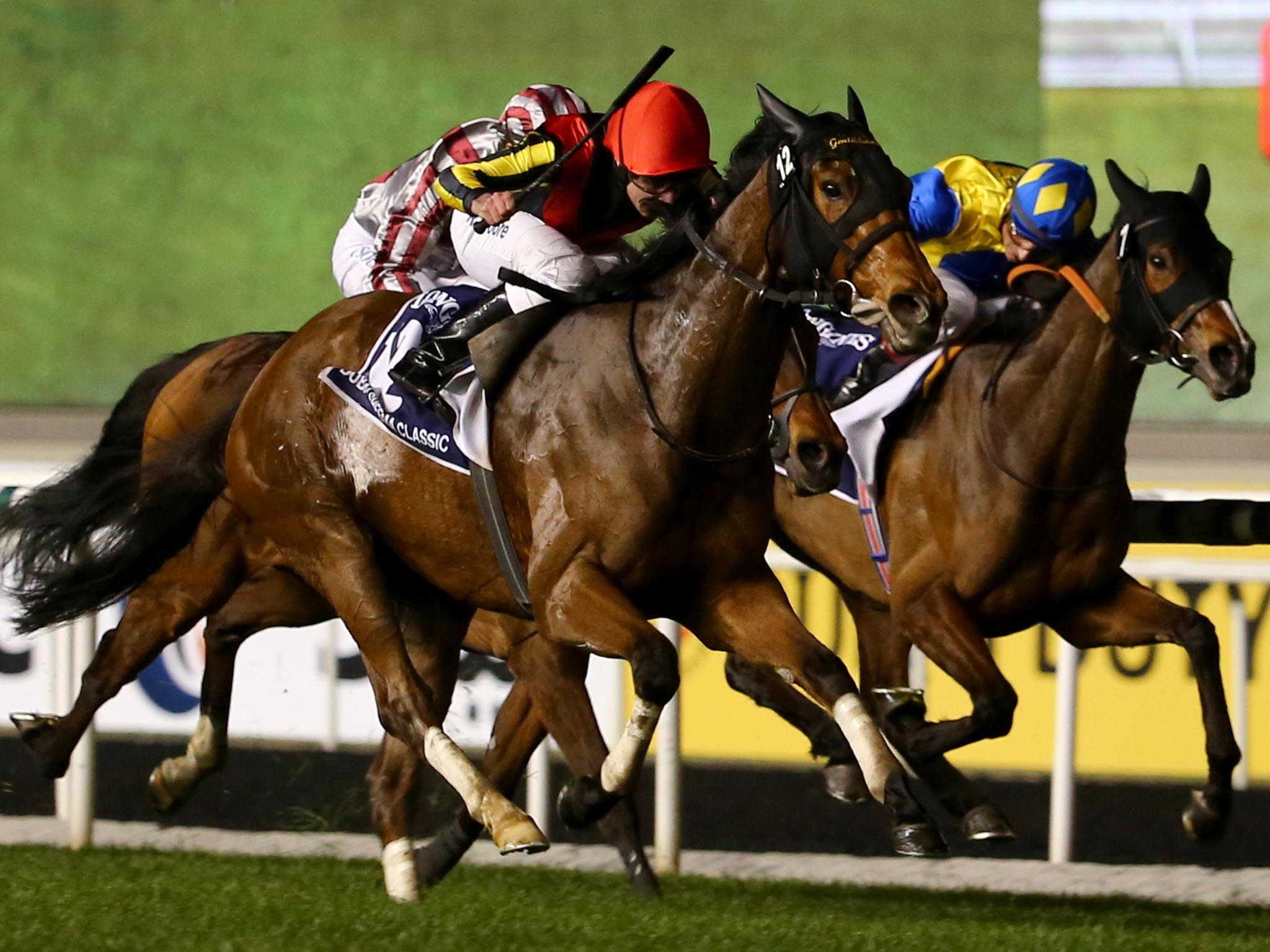 Thoroughbred racehorses could turn Britain's fortunes around