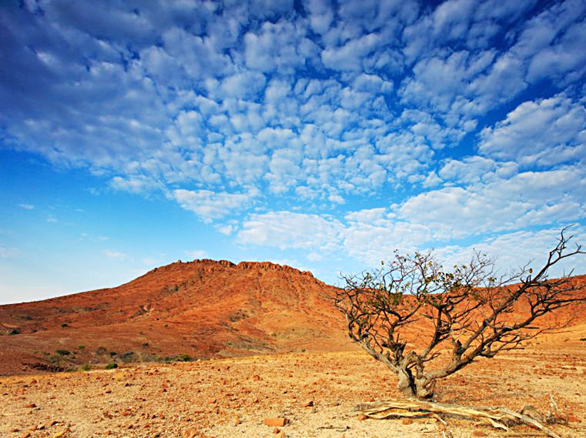 Just deserts: the stark landscape of Namibia