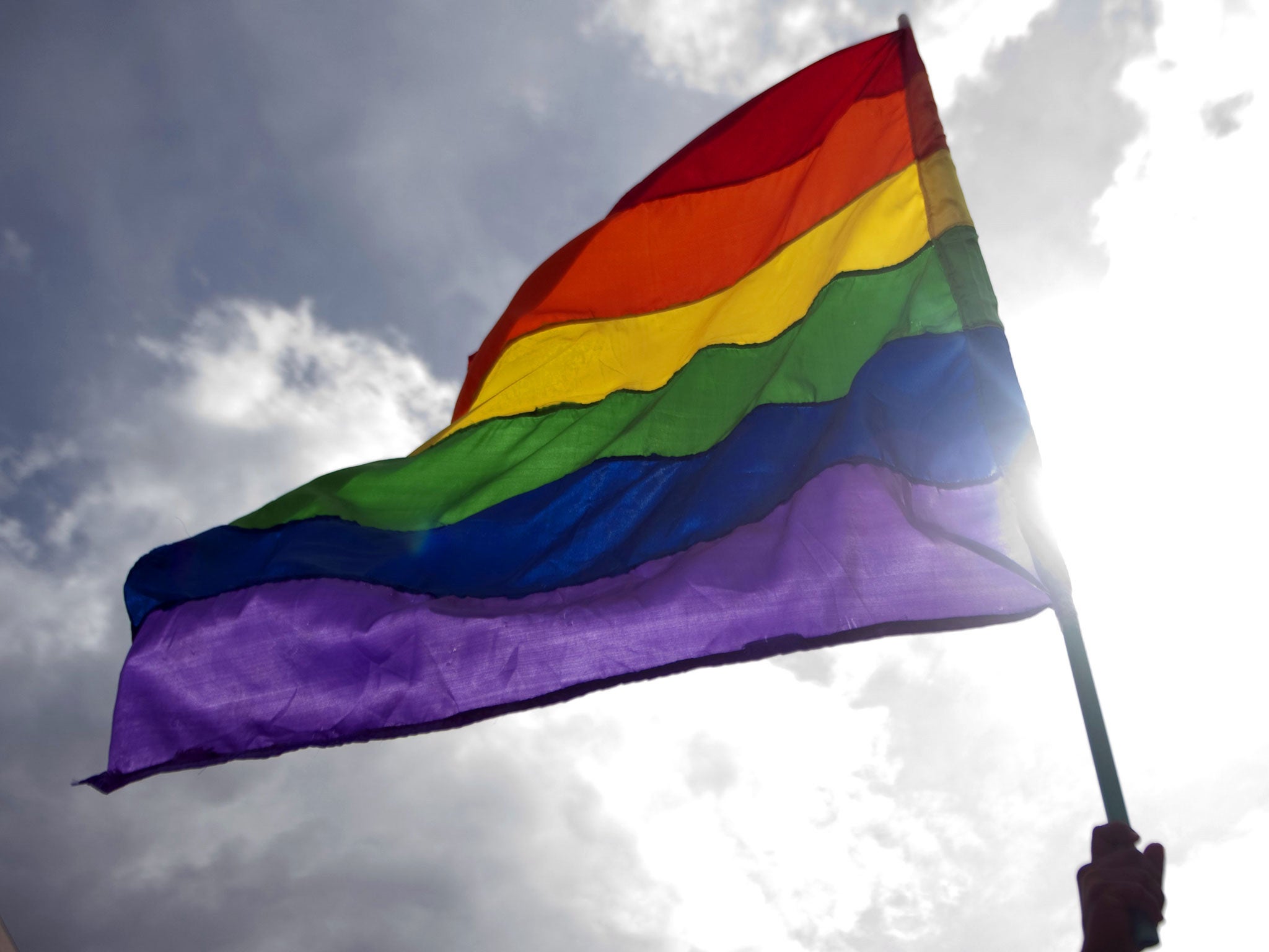 A reveller waves a rainbow flag during a Gay Pride Parade.