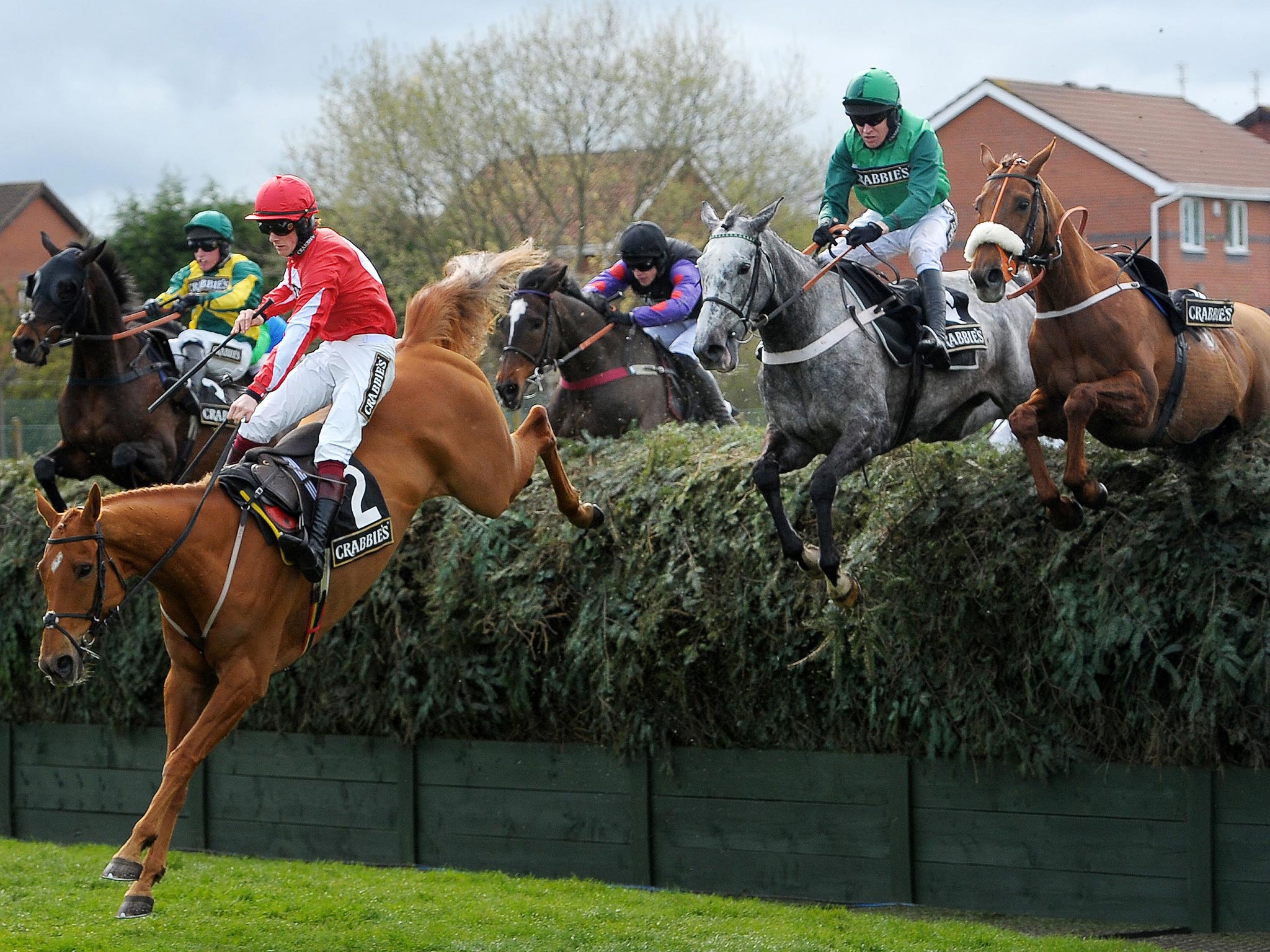 Double Ross leads over the National fences in the Topham Chase at Aintree yesterday from the grey winner Ma Filleule