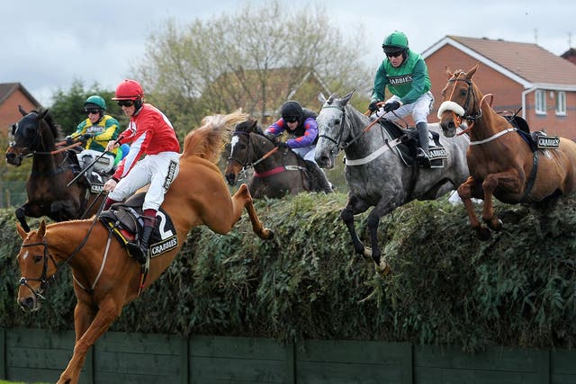 Double Ross leads over the National fences in the Topham Chase at Aintree yesterday from the grey winner Ma Filleule