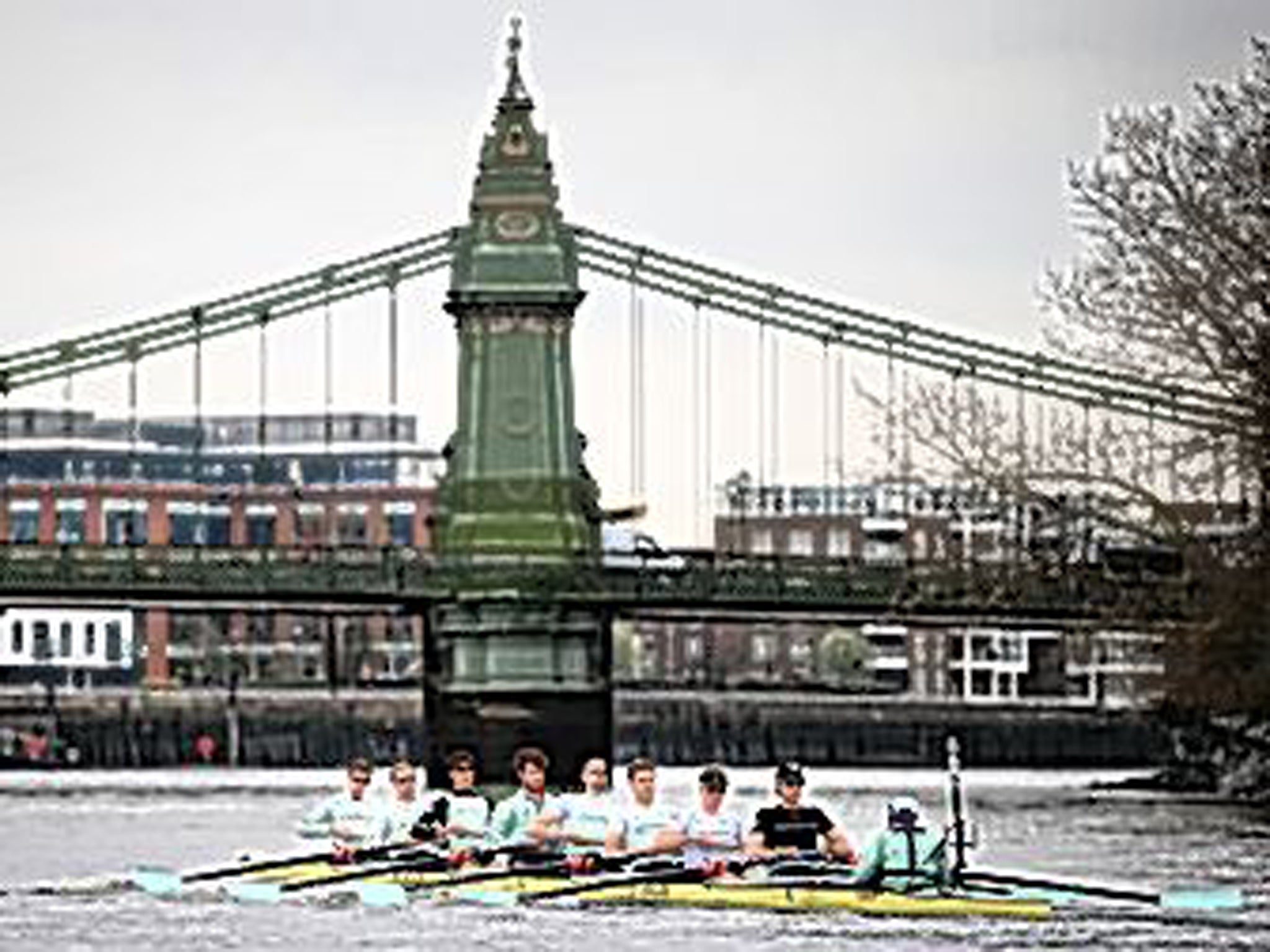 Cambridge's eight in last year's Boat Race