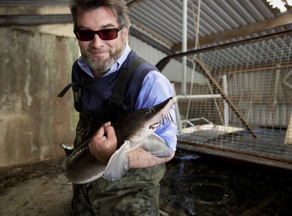 Ken Benning with one of his sturgeon