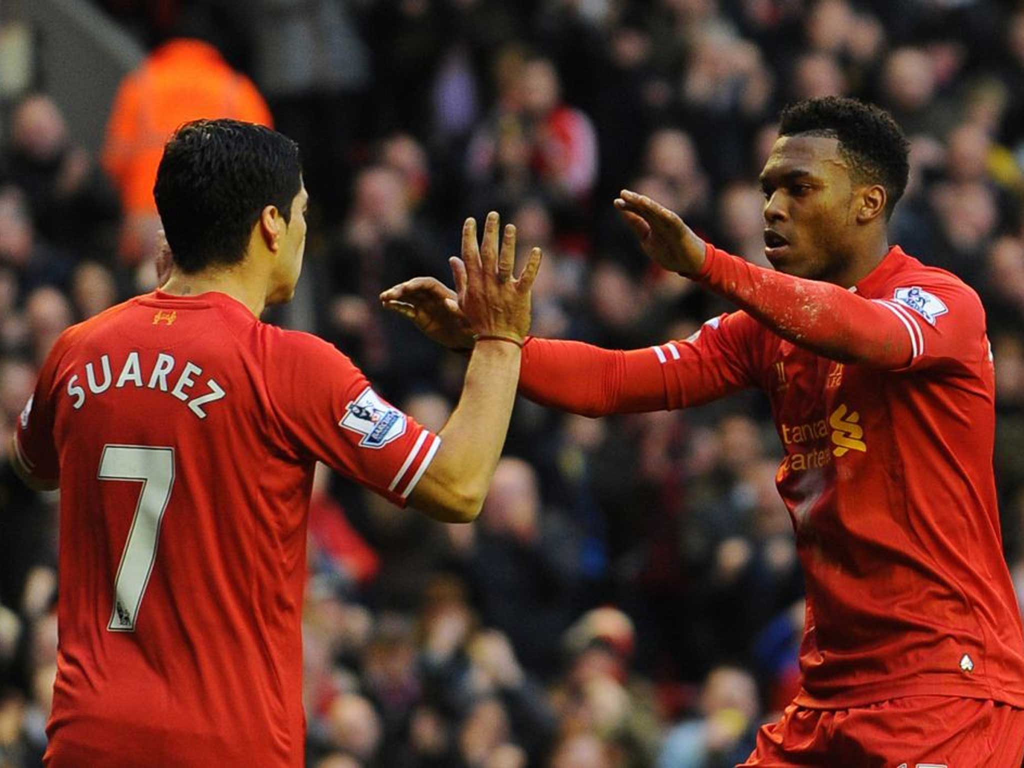 Partners in crime: Liverpool strikers Luis Suarez and Daniel Sturridge